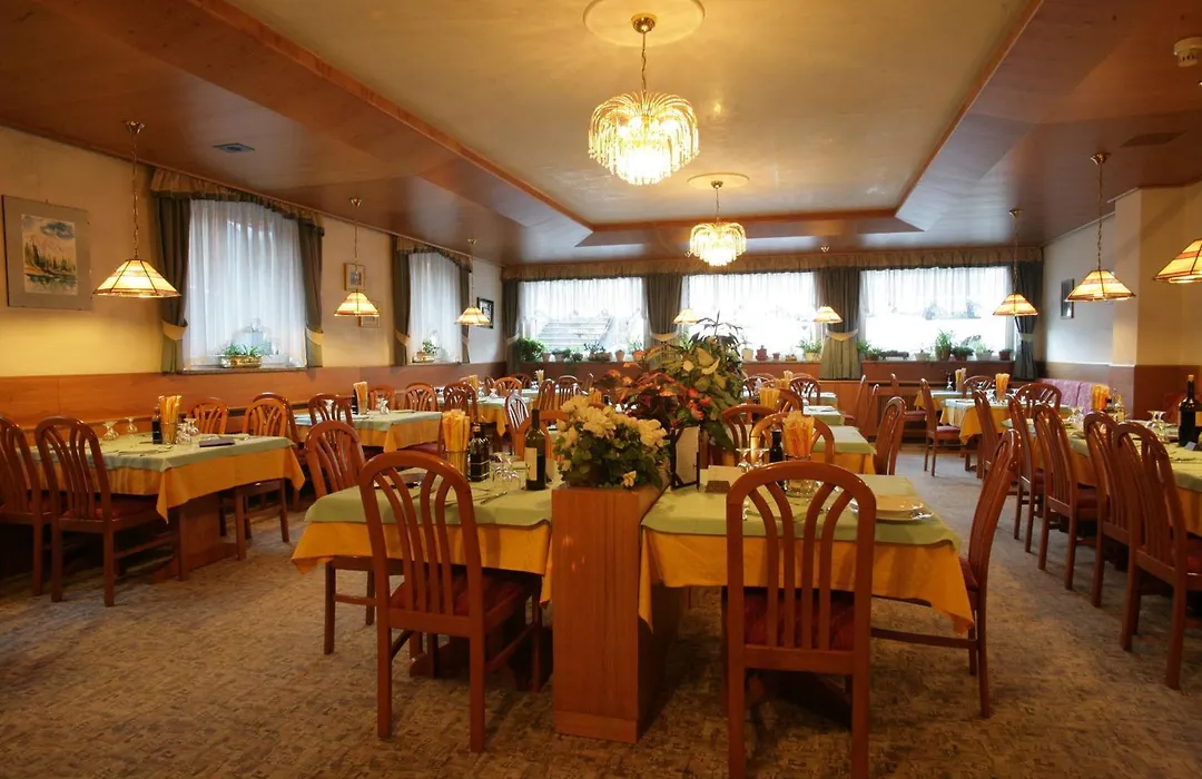 Hotel Alpe-1